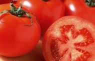 دراسة..الطماطم يقي من امراض القلب